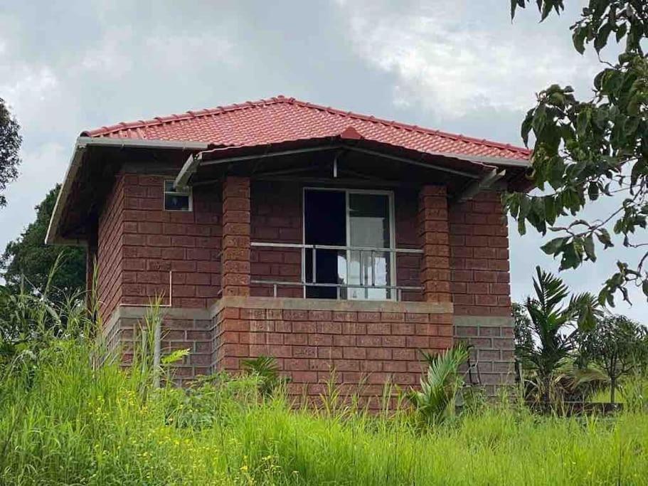 Villa Mars Jungle Adventure Stud Farm With Private Jacuzzi Narsinge Exterior foto