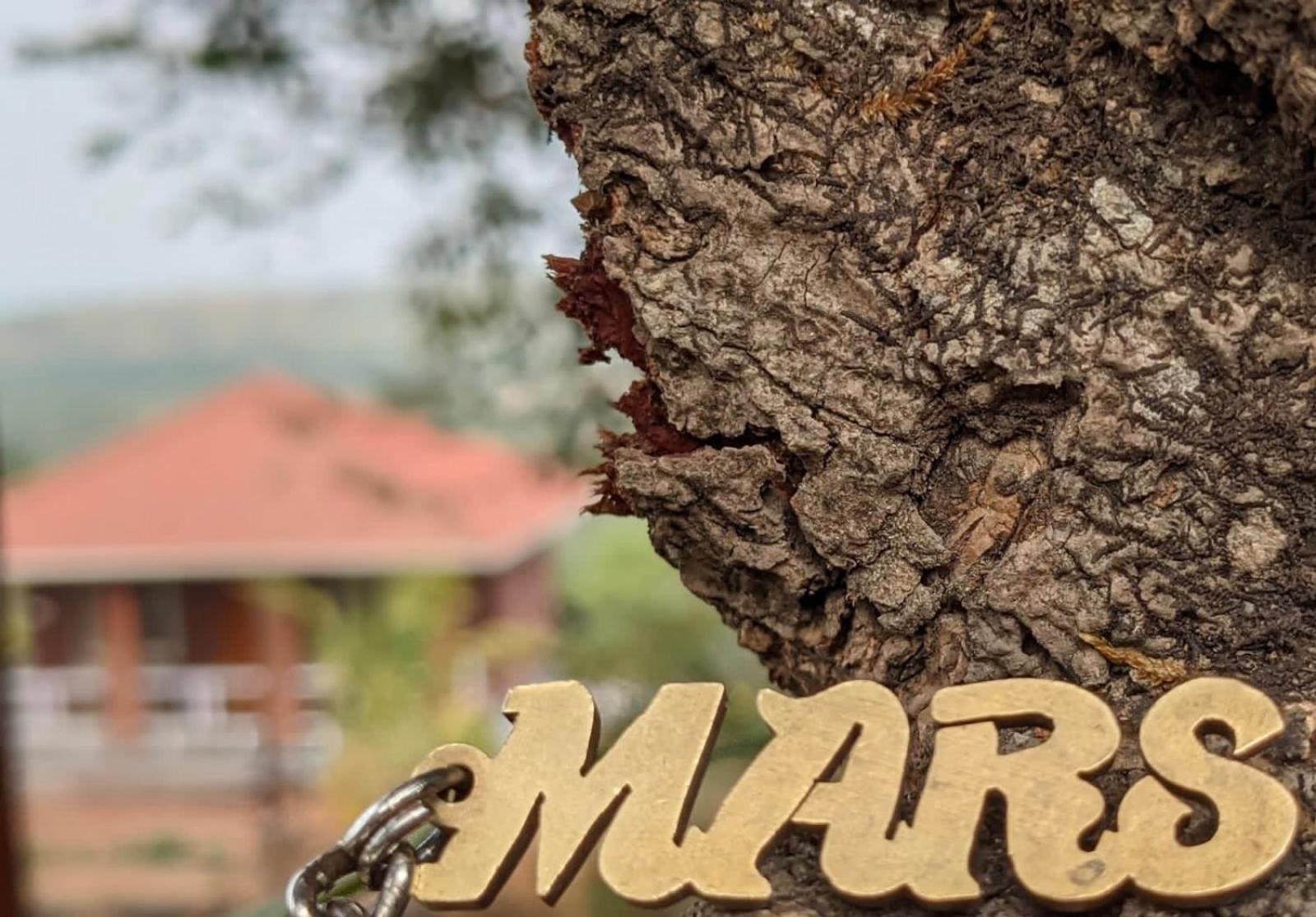 Villa Mars Jungle Adventure Stud Farm With Private Jacuzzi Narsinge Exterior foto