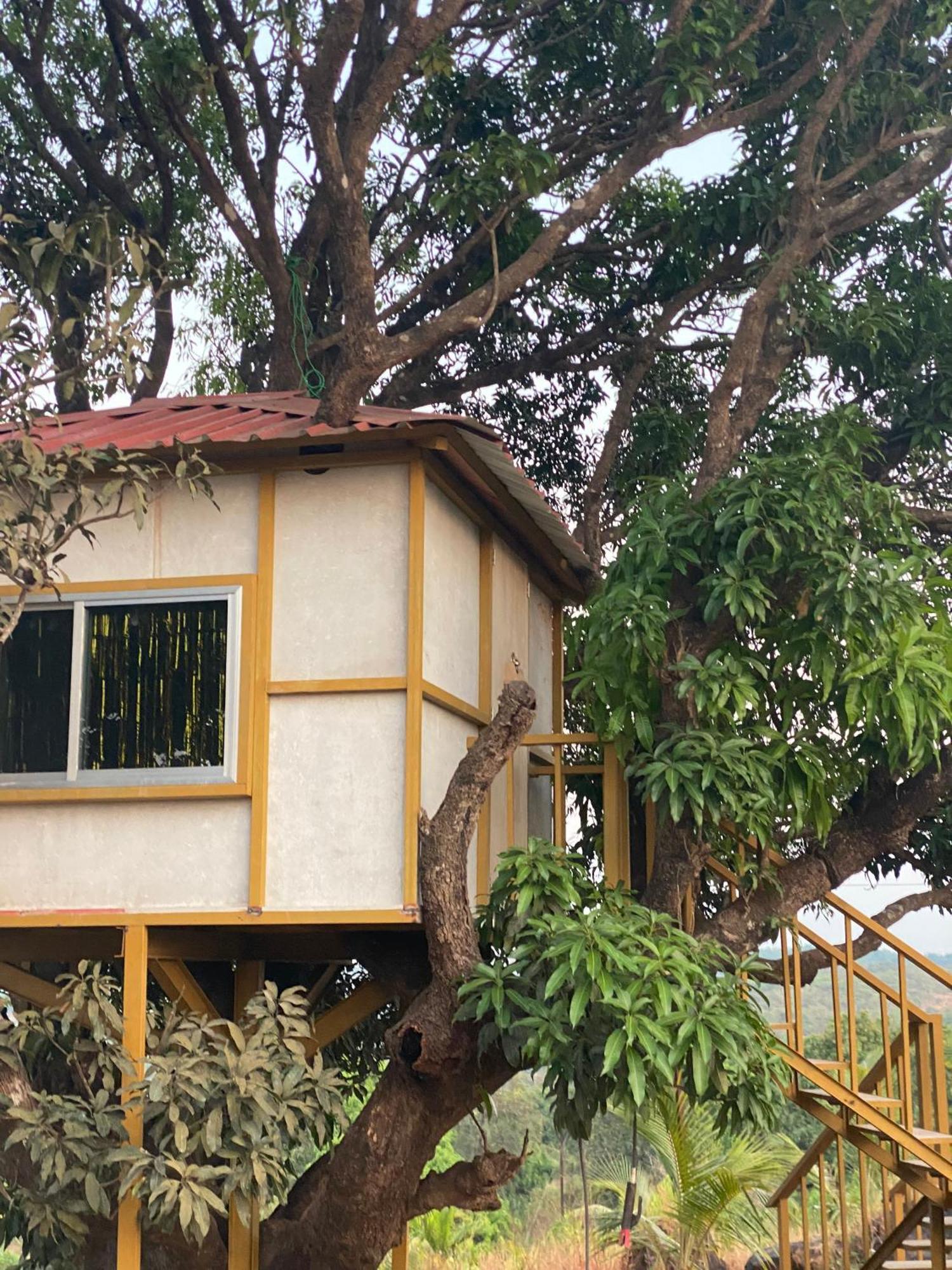 Villa Mars Jungle Adventure Stud Farm With Private Jacuzzi Narsinge Habitación foto