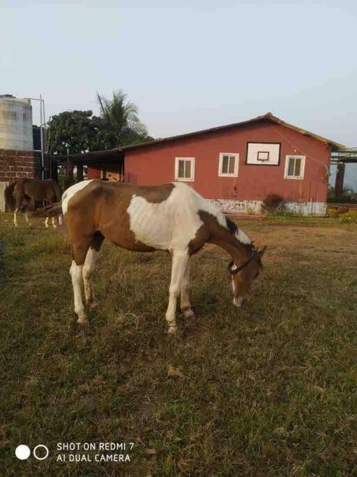 Villa Mars Jungle Adventure Stud Farm With Private Jacuzzi Narsinge Exterior foto