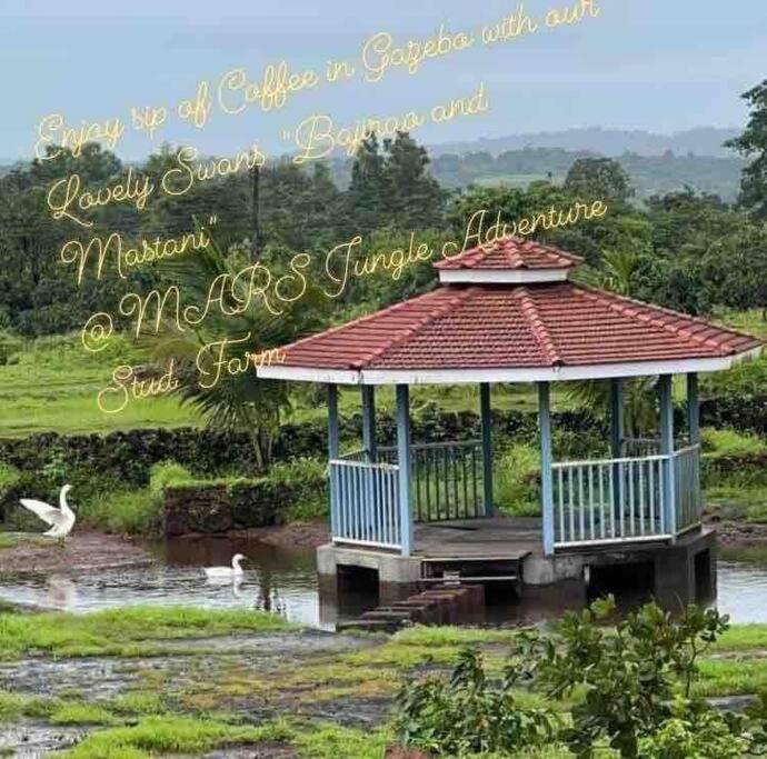 Villa Mars Jungle Adventure Stud Farm With Private Jacuzzi Narsinge Exterior foto